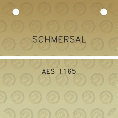 schmersal-aes-1165