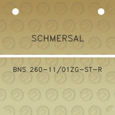 schmersal-bns-260-1101zg-st-r