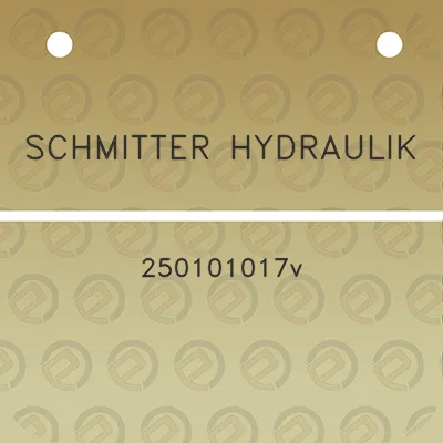 schmitter-hydraulik-250101017v