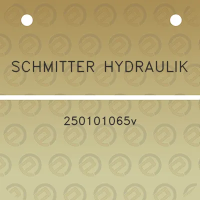 schmitter-hydraulik-250101065v