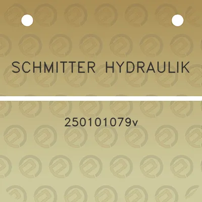 schmitter-hydraulik-250101079v