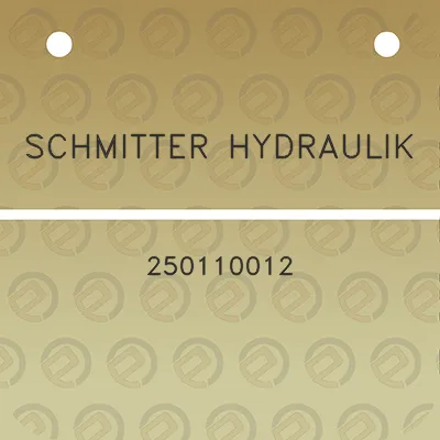 schmitter-hydraulik-250110012