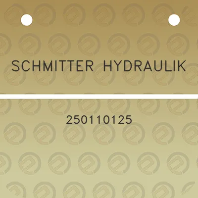 schmitter-hydraulik-250110125