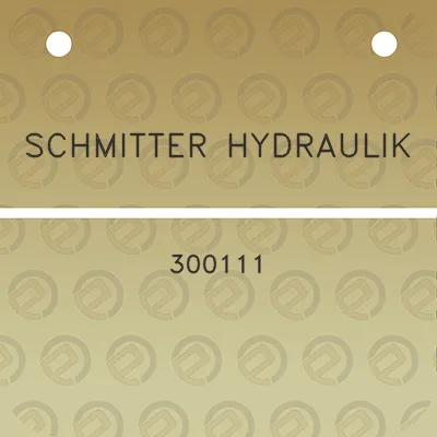 schmitter-hydraulik-300111