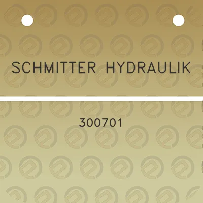 schmitter-hydraulik-300701