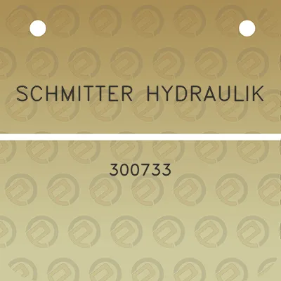 schmitter-hydraulik-300733