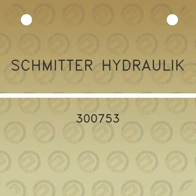 schmitter-hydraulik-300753