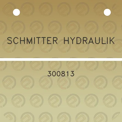 schmitter-hydraulik-300813