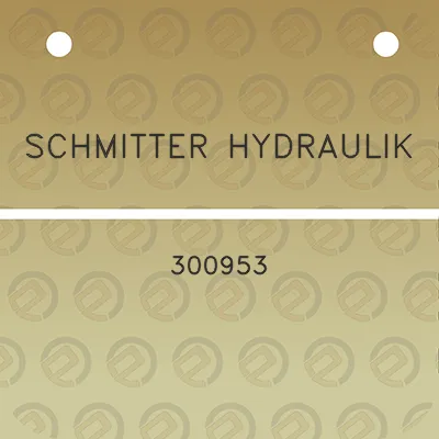 schmitter-hydraulik-300953