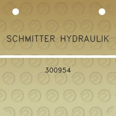 schmitter-hydraulik-300954