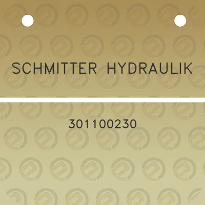 schmitter-hydraulik-301100230