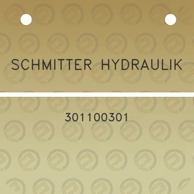 schmitter-hydraulik-301100301