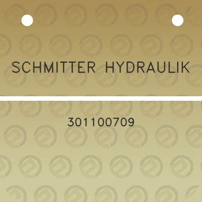 schmitter-hydraulik-301100709