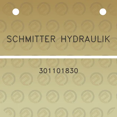schmitter-hydraulik-301101830