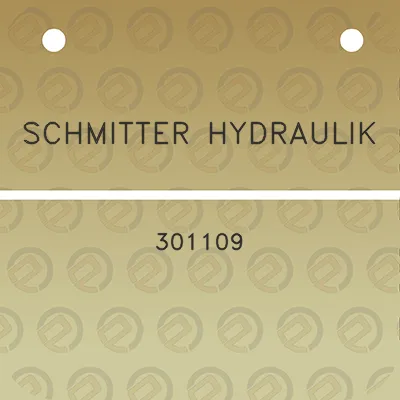 schmitter-hydraulik-301109