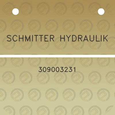 schmitter-hydraulik-309003231