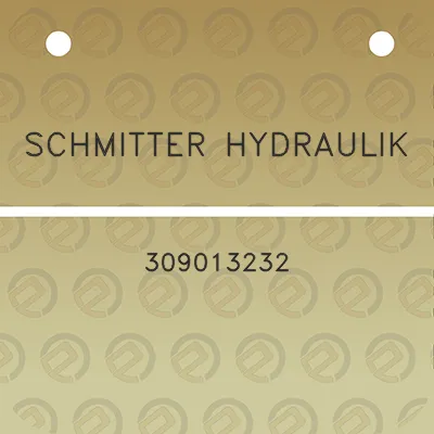 schmitter-hydraulik-309013232