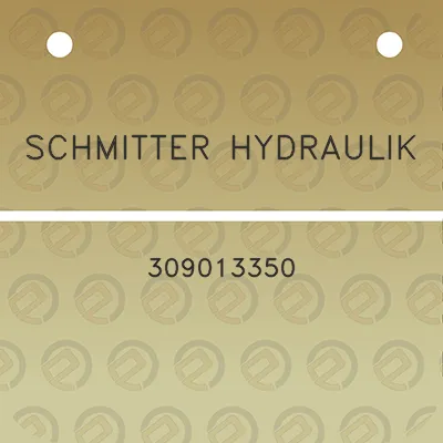 schmitter-hydraulik-309013350