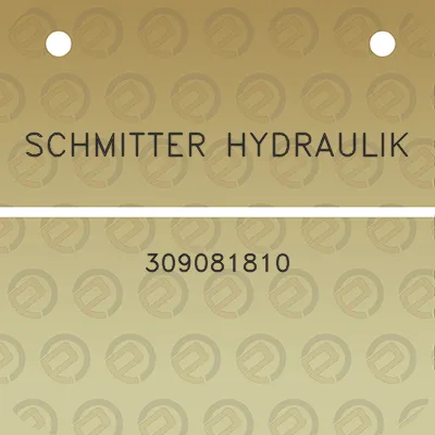 schmitter-hydraulik-309081810