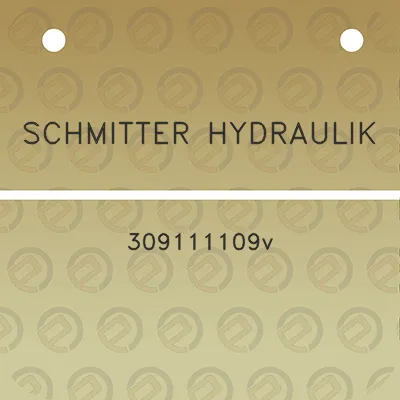 schmitter-hydraulik-309111109v