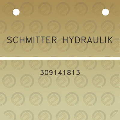 schmitter-hydraulik-309141813