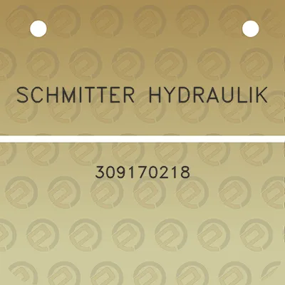 schmitter-hydraulik-309170218