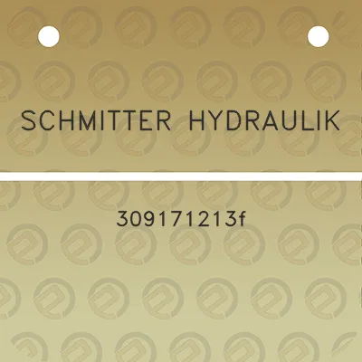 schmitter-hydraulik-309171213f