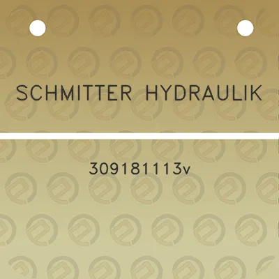 schmitter-hydraulik-309181113v