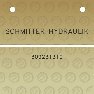 schmitter-hydraulik-309231319