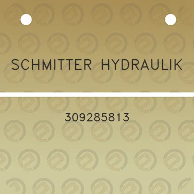 schmitter-hydraulik-309285813