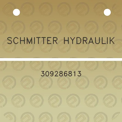 schmitter-hydraulik-309286813