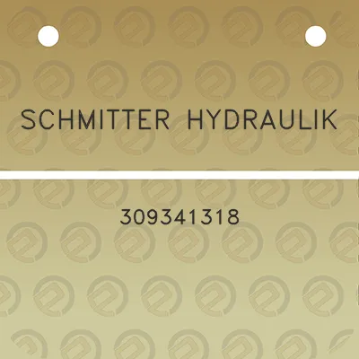 schmitter-hydraulik-309341318