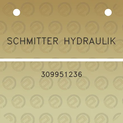 schmitter-hydraulik-309951236