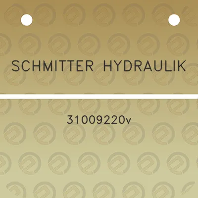 schmitter-hydraulik-31009220v