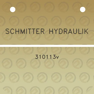 schmitter-hydraulik-310113v