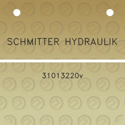 schmitter-hydraulik-31013220v