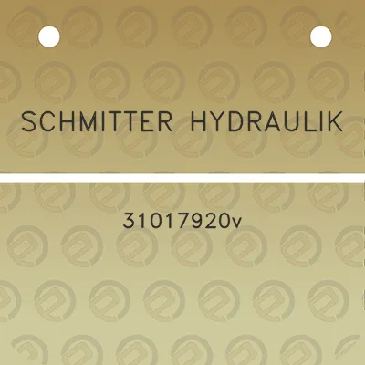 schmitter-hydraulik-31017920v