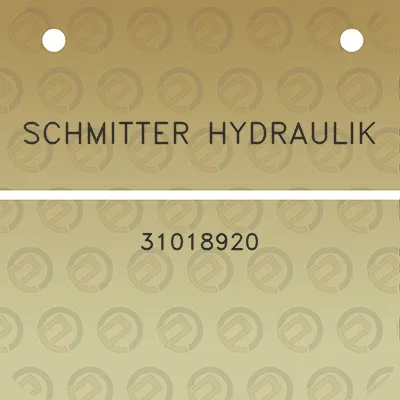 schmitter-hydraulik-31018920