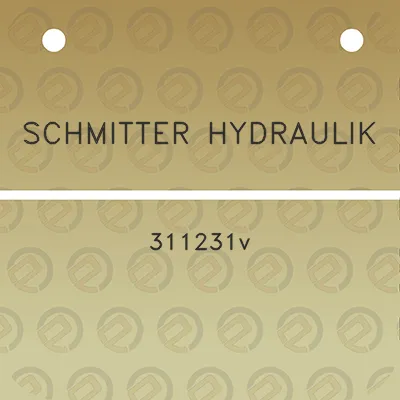 schmitter-hydraulik-311231v