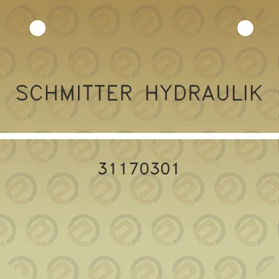 schmitter-hydraulik-31170301