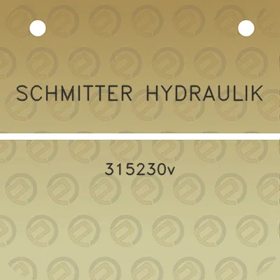 schmitter-hydraulik-315230v