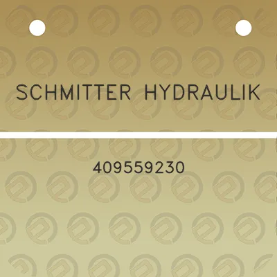 schmitter-hydraulik-409559230