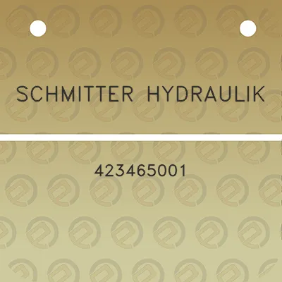 schmitter-hydraulik-423465001