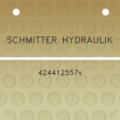 schmitter-hydraulik-424412557v