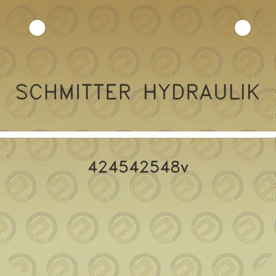 schmitter-hydraulik-424542548v