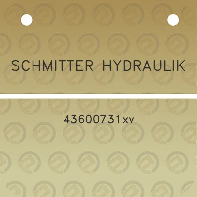 schmitter-hydraulik-43600731xv