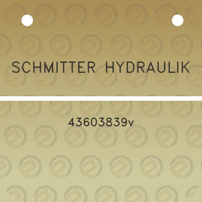 schmitter-hydraulik-43603839v