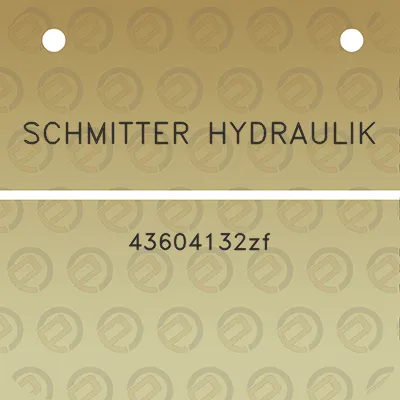 schmitter-hydraulik-43604132zf