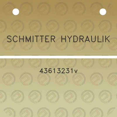 schmitter-hydraulik-43613231v