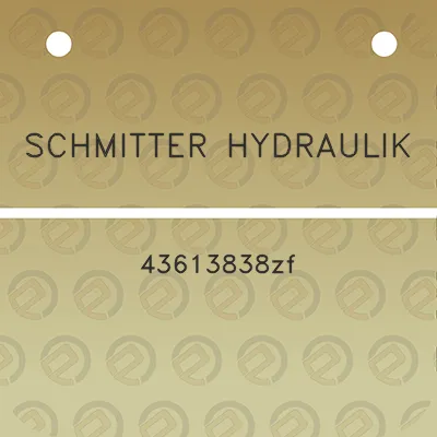 schmitter-hydraulik-43613838zf